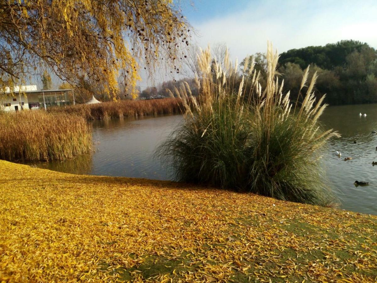 La Laguna Laguna de Duero Luaran gambar