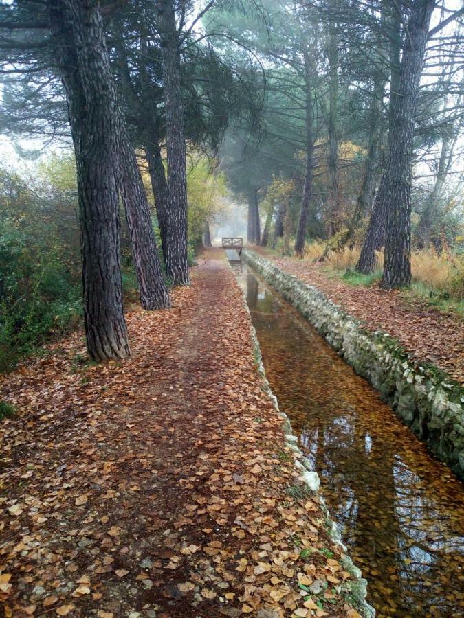 La Laguna Laguna de Duero Luaran gambar